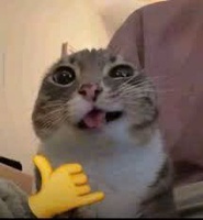 Hào Lê