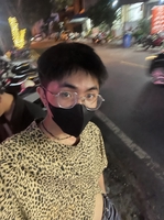 Mai Phương Nam