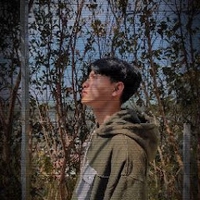 Đình bảo Vũ