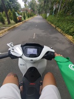 Tùng Lâm