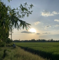 nhật Toản
