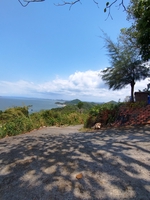  Đạt 