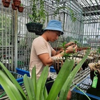 Nguyễn Hữu Chiến