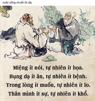 mình chip 