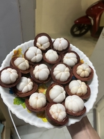 Anivi