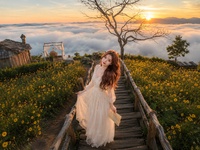 Linh