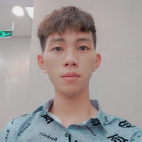 Hân Nguyễn Đình