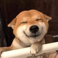 Đăng