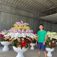 Chánh Vo Đinh