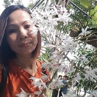 Phùng Phương Thùy