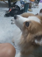  Tú