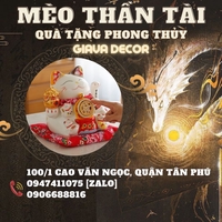 Mèo Thần Tài Quận Tân Phú Giava decor - 0906688816