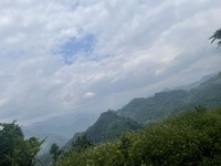 Vũ Quang Minh