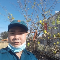 Tin Banh