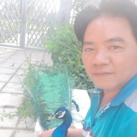 Hồ Lượng Chim Công Hcm