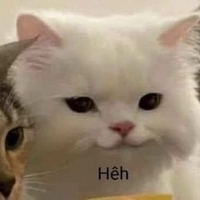 Dũng