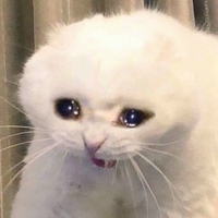Trần Đức Cơ