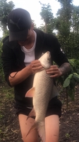 Ngô Quang Minh