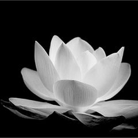 Hoàng Hải Vũ