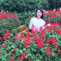 Minh Anh Nguyễn