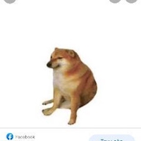 Minh Khánh Phan Nguyễn