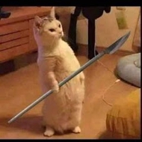 9102 Bảo Bùi Thiên