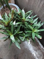 Shop đồ thể thao 