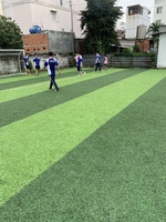 quaduna
