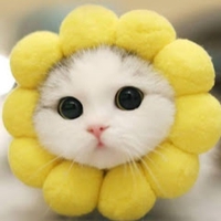 Nhat Le