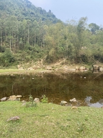 phanvanhuy
