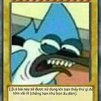 Vu
