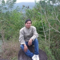 Hoàng Phi Hải