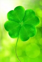 Lucky