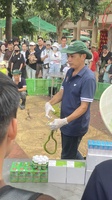 tùng phan