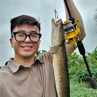 Tuấn Anh