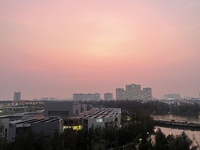 Như Mai