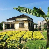 Trương Minh Tím