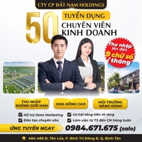 Đất Nam Holdings