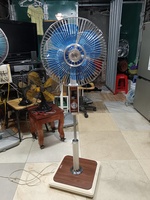 Sơn nhật bãi 