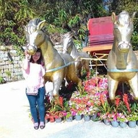 CỬA HÀNG VINH KHANG