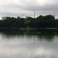 Nguyễn Đăng Dương