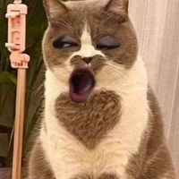 Mỹ