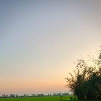 hoa qua sơn
