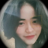 phương anh phan