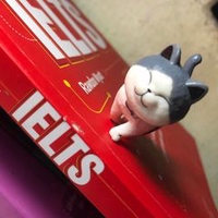 Nguyễn Tuấn Tâm