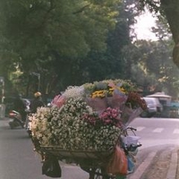 Gia Bảo
