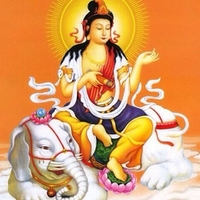 thanhlam