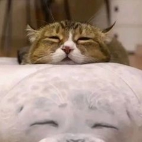 Đào Lý Nguyên Thảo 