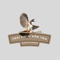Trại Chim Chào Mào Tèo Văn