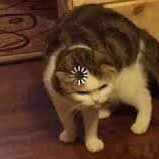 Nhật